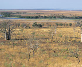 Telegraph Hill - ACT Tourism 0