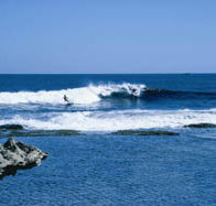 West End - ACT Tourism