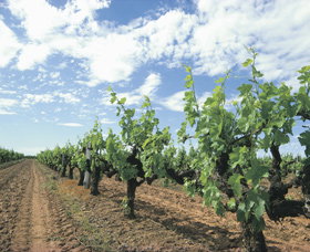 Courtenay WA ACT Tourism