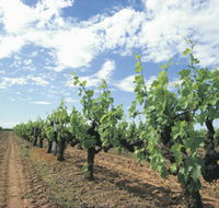 Blackwood Meadery - ACT Tourism