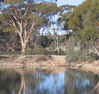Merredin Railway Dam - ACT Tourism
