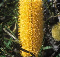 Moore River National Park - ACT Tourism