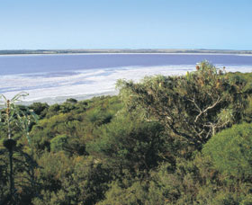 Pink Lake - ACT Tourism 0