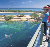 Shark Bay Marine Park - ACT Tourism