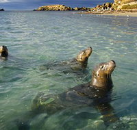 Shoalwater Islands Marine Park - ACT Tourism
