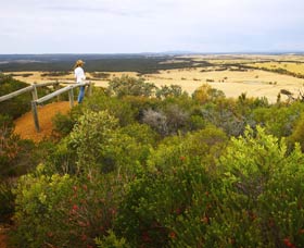 Archer Drive Scenic Drive And Lookout - ACT Tourism 0