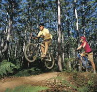 Leeuwin-Naturaliste National Park - Cowaramup - ACT Tourism