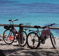 Parker Point Marine Snorkel Trail - ACT Tourism