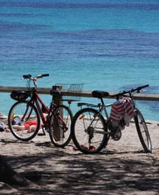 Parker Point Marine Snorkel Trail - ACT Tourism 0