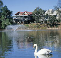 White Swans - ACT Tourism