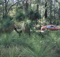 Bridgetown Jarrah Park - ACT Tourism