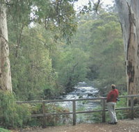 Cascades - ACT Tourism