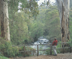 Cascades - ACT Tourism 0