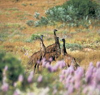 Jurabi Coastal Reserve - ACT Tourism