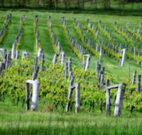 Sienna Estate Winery - ACT Tourism