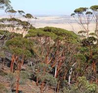 Mount Matilda Walk Trail Wongan Hills - ACT Tourism