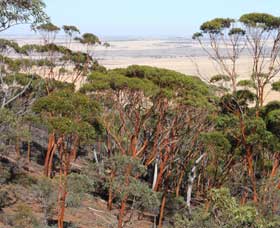 Mount Matilda Walk Trail, Wongan Hills - ACT Tourism 0