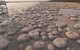 Yalgorup National Park - thumb 0