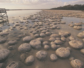 Yalgorup National Park - ACT Tourism 0