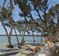 Stokes National Park - ACT Tourism