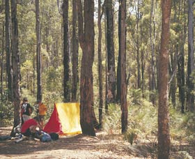 Lane Poole Reserve - ACT Tourism 0