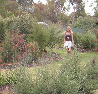 The Mythic Mazes - ACT Tourism