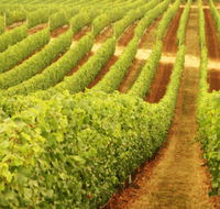 Xanadu Wines - ACT Tourism