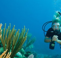 Coastal Water Dive - ACT Tourism