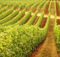 Happs Wines - ACT Tourism