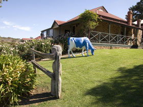 Longview Vineyard - ACT Tourism 0