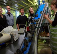 Eyre Peninsula's Seafood Trail - ACT Tourism