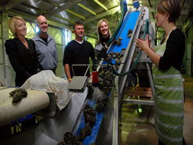 Eyre Peninsula's Seafood Trail - ACT Tourism 0