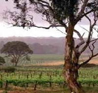 Yangarra Estate Vineyard - ACT Tourism