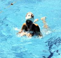 Mount Gambier Aquatic Centre - ACT Tourism