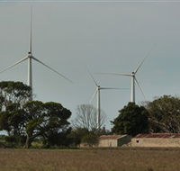 Wattle Point Wind Farm - ACT Tourism