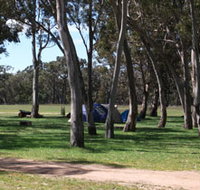 Black Cockatoo Bush Camp - ACT Tourism