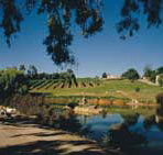 Mount Hurtle Winery home of Geoff Merrill Wines - ACT Tourism