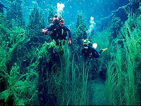 Wandilo SA ACT Tourism