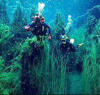 Ewens Ponds Conservation Park - ACT Tourism