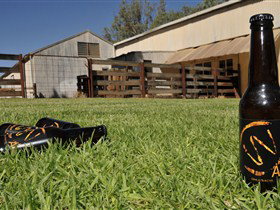 Wilkadene, Woolshed Brewery - ACT Tourism 0