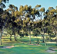 Tanunda Pines Golf Club - ACT Tourism