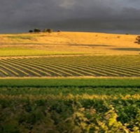 Kellermeister Wines - ACT Tourism