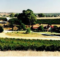 Irvine Wines - ACT Tourism