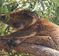 Mikkira Station - ACT Tourism