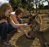 Kangaroo Island Wildlife Park - ACT Tourism