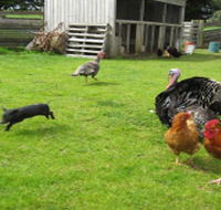 Echo Farm - ACT Tourism