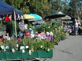 Meadows Monthly Market - ACT Tourism 0