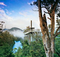 Tahune Adventures Tasmania - ACT Tourism