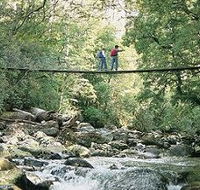 Arve Forest Drive - ACT Tourism