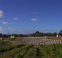 Deep Creek Wines and Alpacas - ACT Tourism